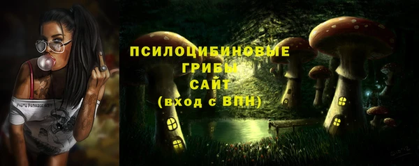 ПСИЛОЦИБИНОВЫЕ ГРИБЫ Абинск