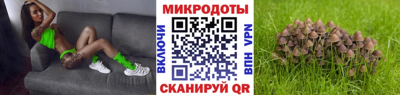 Псилоцибиновые грибы ЛСД  сколько стоит  Исилькуль 